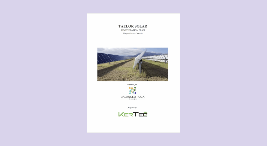 taelor solar revegetation plan